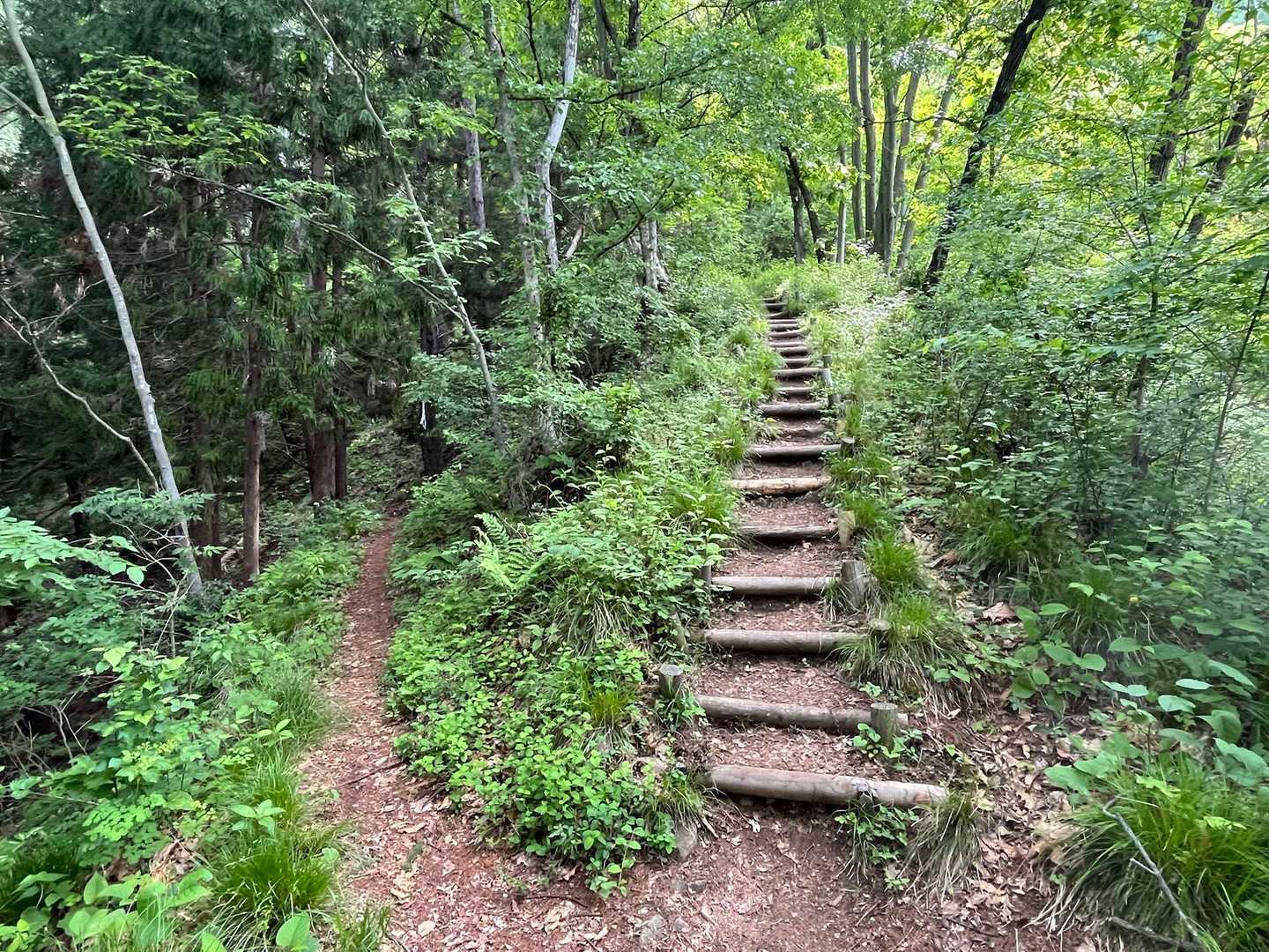 鴨ヶ嶽-箱山峠-箱山 往復コースの写真