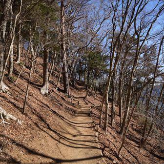 次はパノラマ台や。
ﾃｸﾃｸ((´∀`)~♪