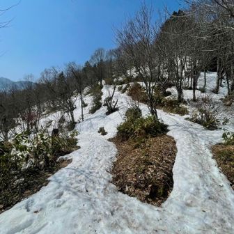 雪はある事はある