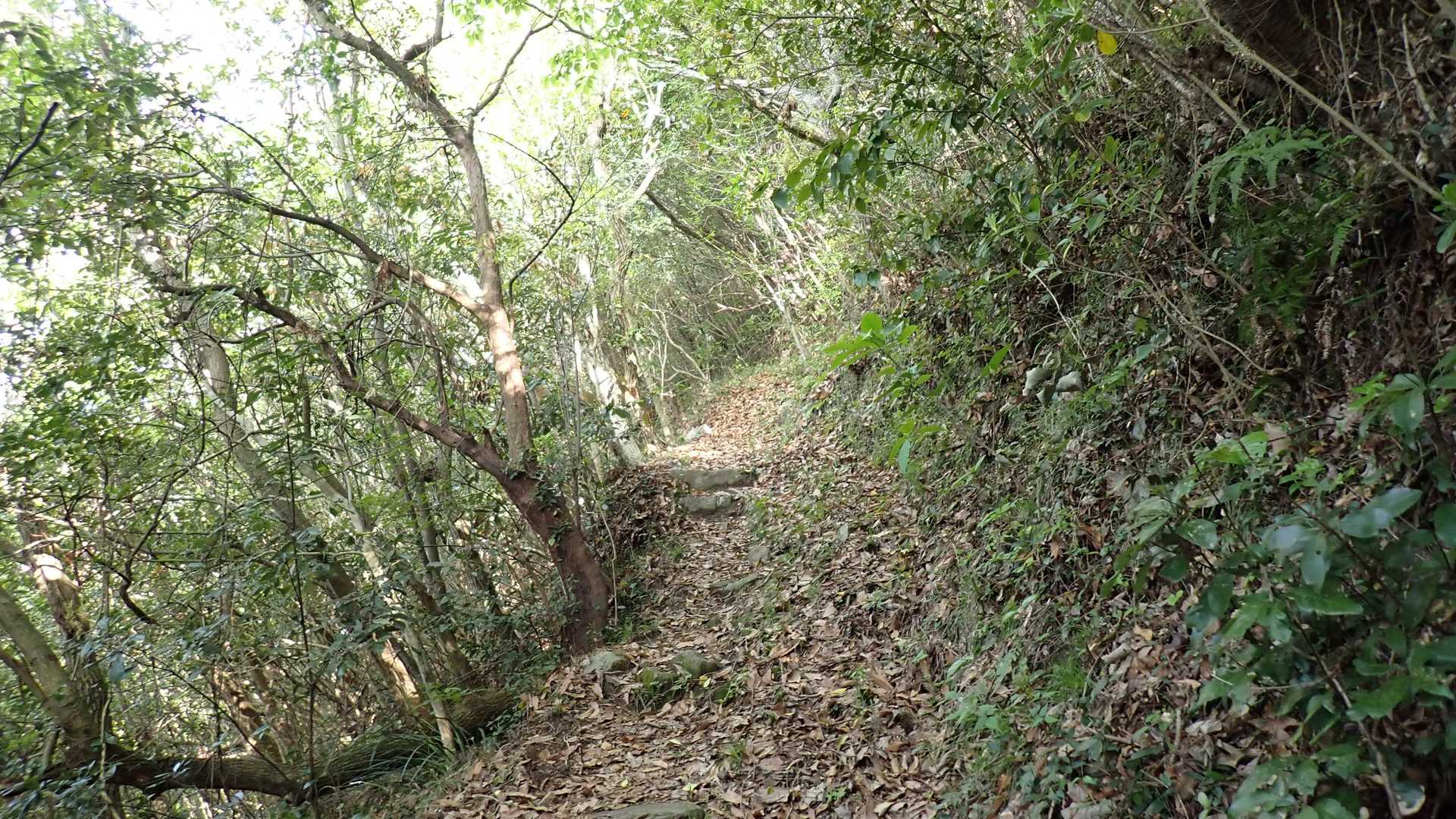 柴尾山と書いてゾウヤマ、絶対読めないお山です