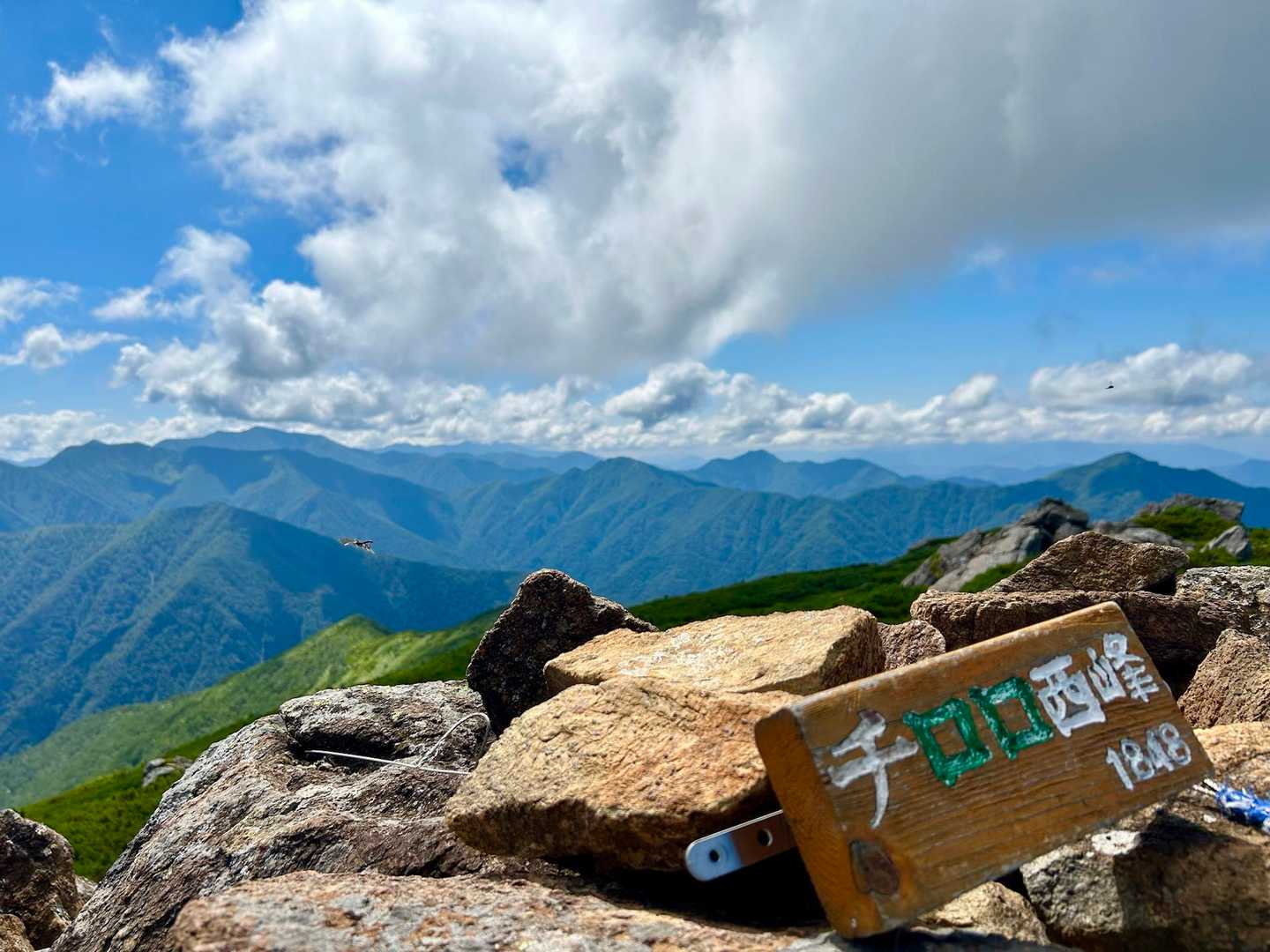 西峰着💪