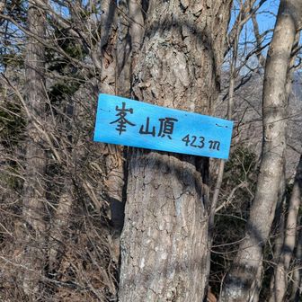 峯山頂は見晴らし抜群
天気が良ければ雲取山まで見えるらしい