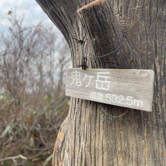 看板…だいぶん色褪せてきちゃったね💦
傷んできたけど、丸みを帯びて….
風に打たれて…雨風にさらされて、雪の中にも埋もれてきたけど、3年以上もよくもったね☺️   
いったんお持ち帰りして…リペアしてみますね✨
