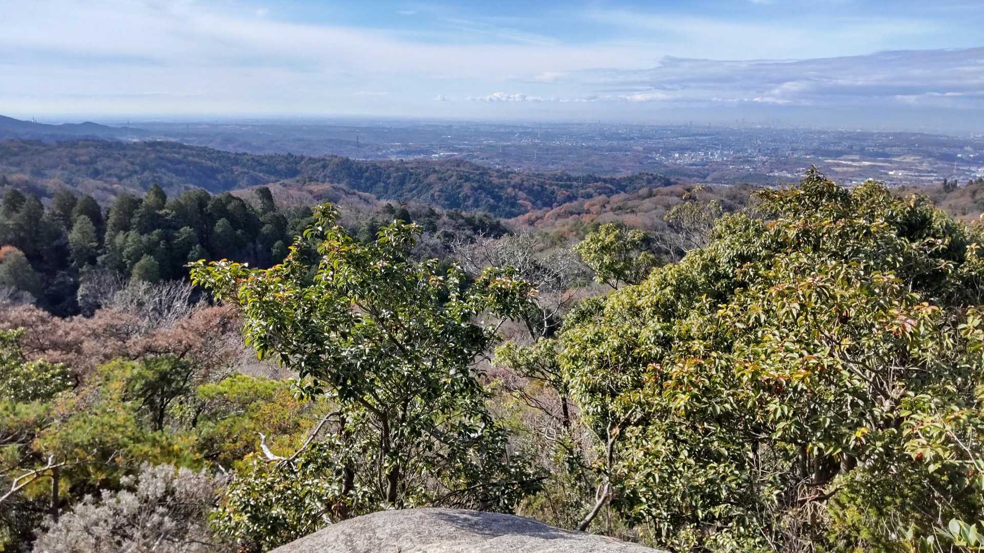 元岩巣山山頂〜