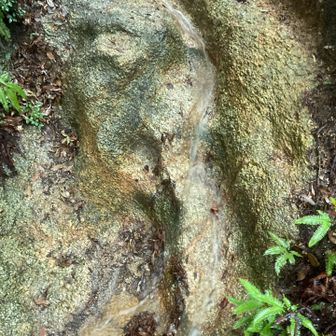 道が小滝