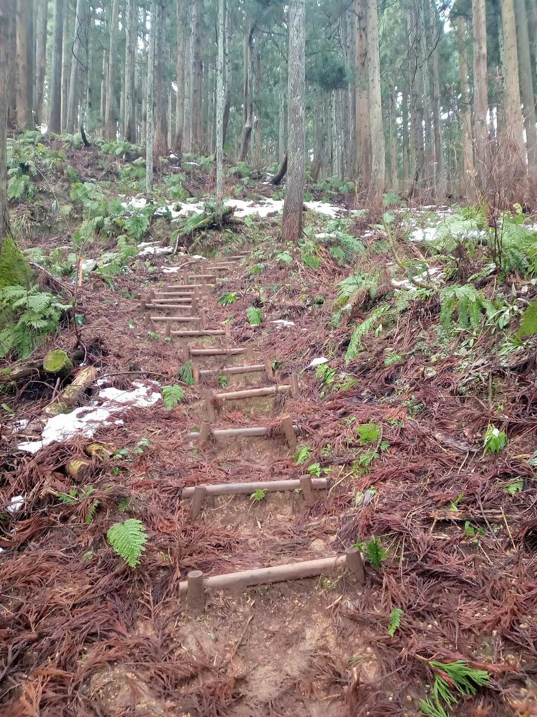 最初は階段を登っていきます。