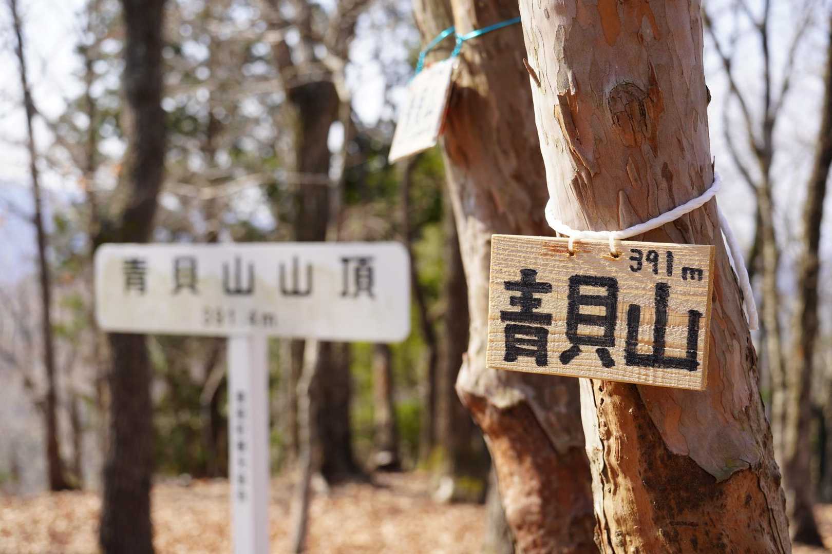 天気もよし