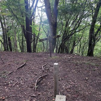 山の中に三角点