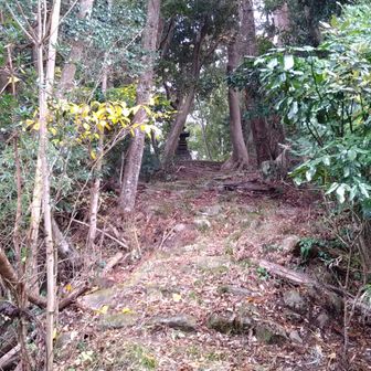 2～３0ｍほど孟宗竹の繁る尾根沿いを登る。