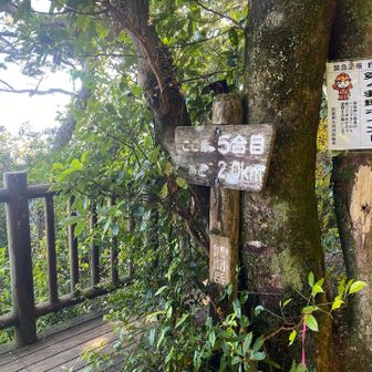 5合目
この後、まもなく歩きにくいザレ場が始まります。