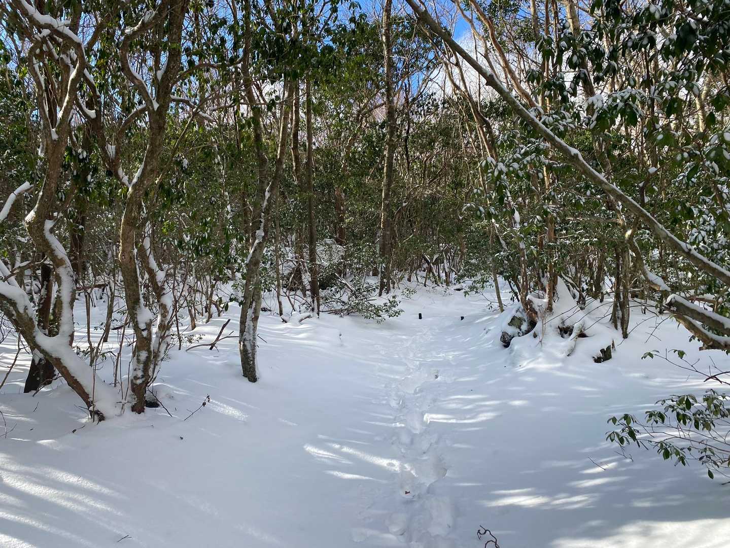 天気良く！