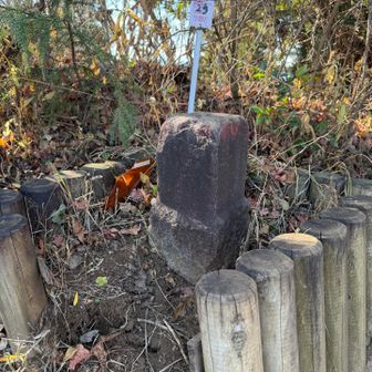 おっと！
大好きな三角点にご挨拶をするの忘れて
山頂に戻りました