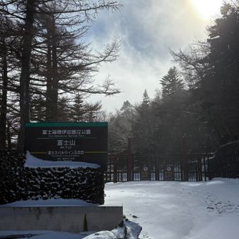 夏には人で溢れるのでしょうね