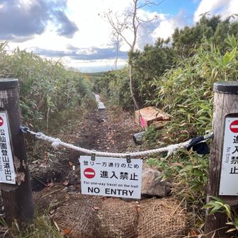 ここ下りで行けたら行くのに
木道だからすれ違えないとか
そんなに人いないと思うんだけどな〜
