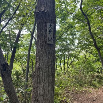 大倉山へ