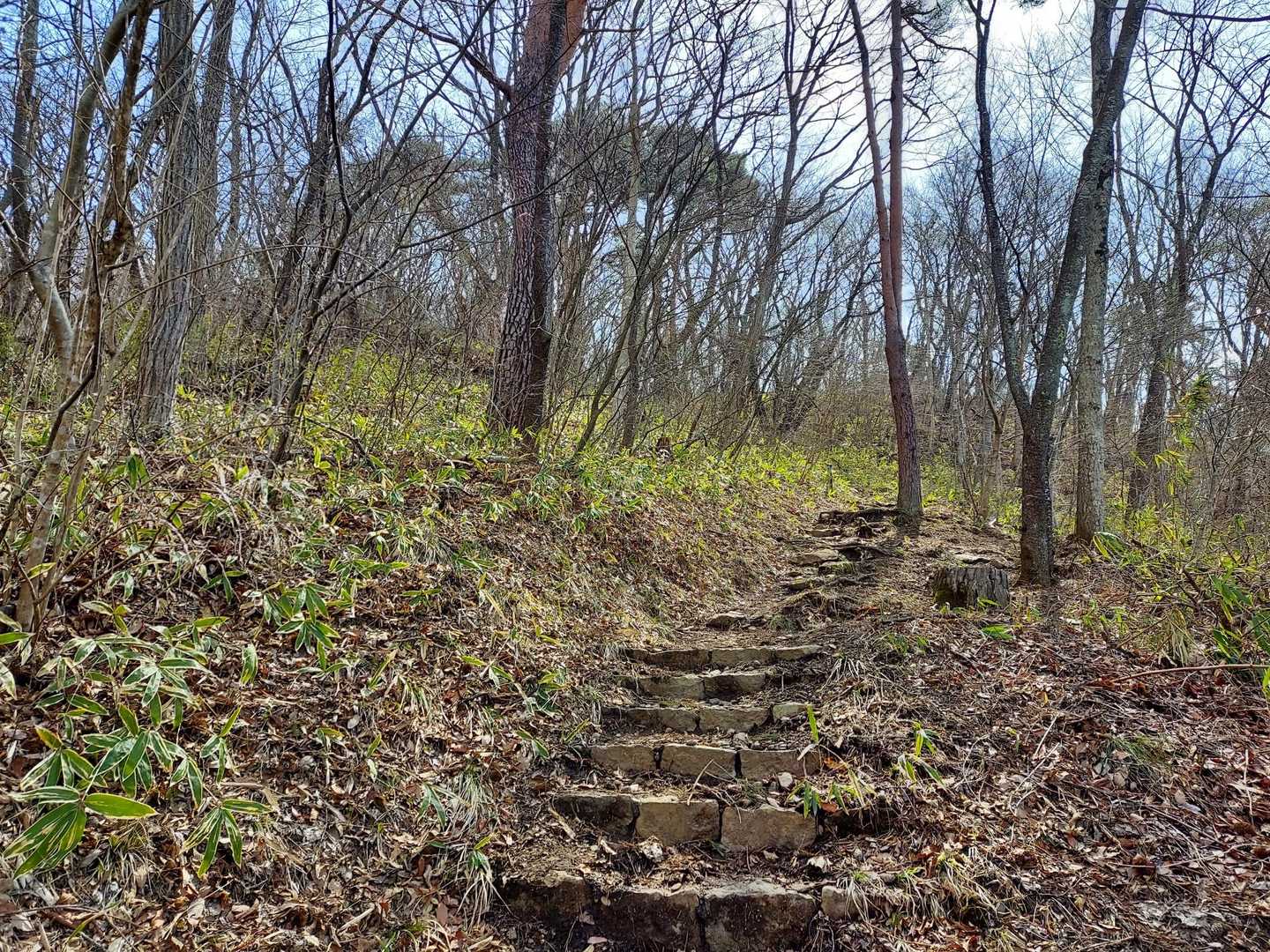 西音森山-宇津峰 周回コースの写真