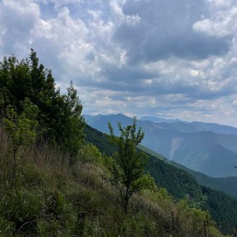 戻って再び四寸岩山から南の方向…。
