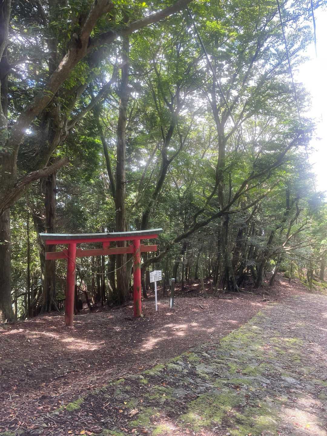 雨山登山口-雨山山-屋床峰-馬の背平-本宮山 周回コースの写真