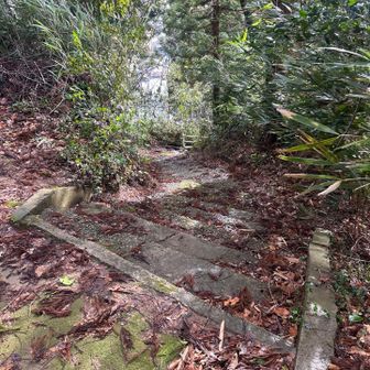 少し手前に別の降り口あったのでそこから降ります