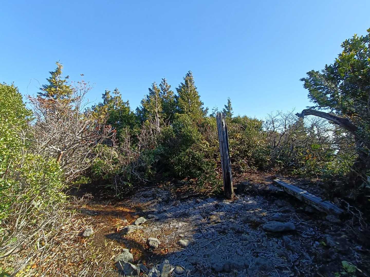 抜けませんでした。
小白森山山頂。