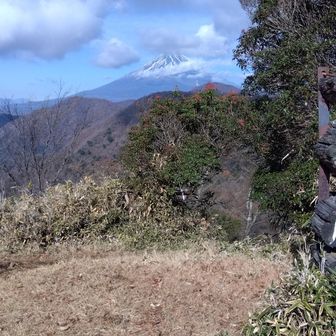 山頂は日当たりも良く、気持ち良い場所でした！