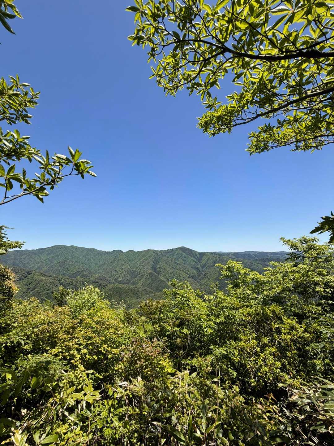 こんな感じで、東側の眺望あり。左が弟見山、中央に莇ヶ岳。稜線が綺麗。