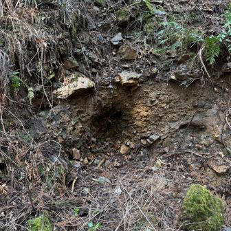 水が滲み出てました