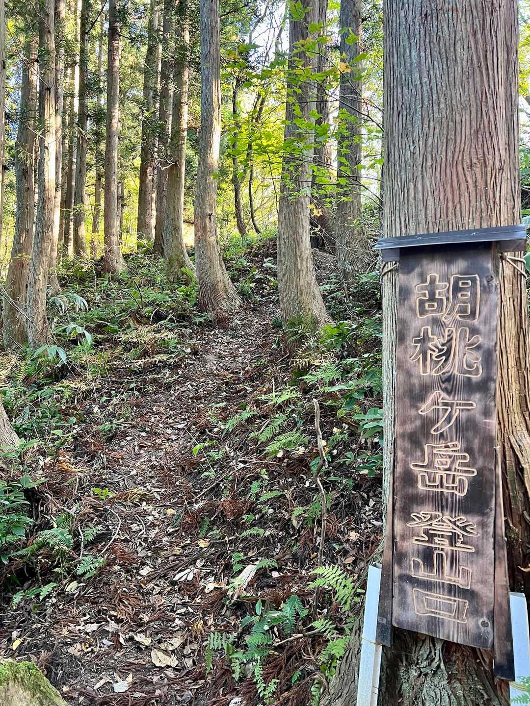 胡桃ケ岳登山口
立派な焼き板ですね♪