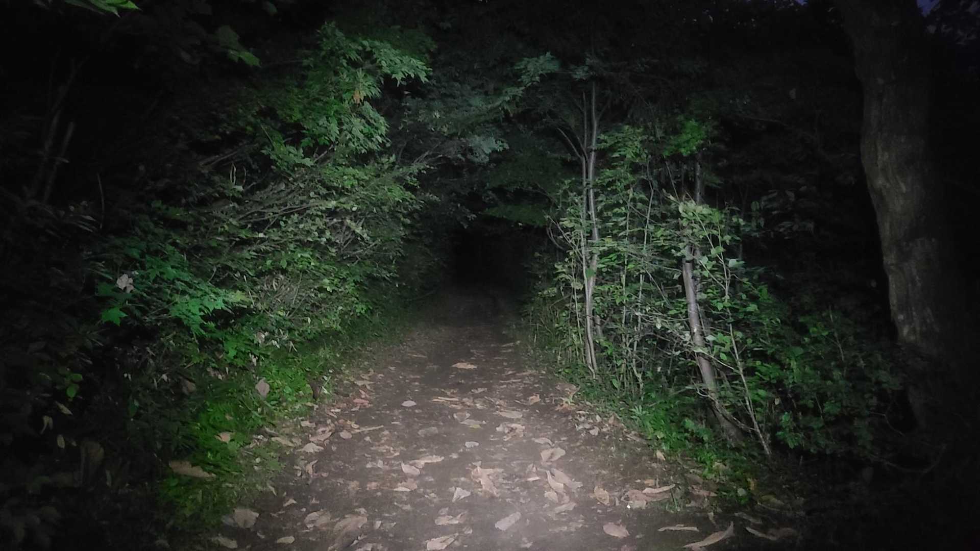 ヘッデン💡つけると🎵
