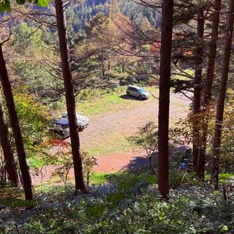 駐車場見えたら終了！