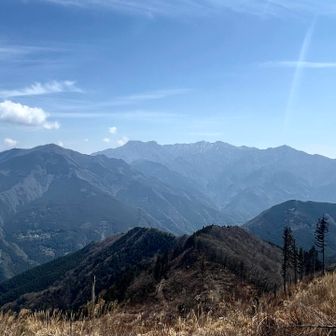ココは石鎚山が見えるんです✨✨
春霞で白んでいるけど
石鎚山_二ノ森_堂ヶ森

ココから石鎚山が見えるのは
数年前に伐採したからだそうで
それまでは見えなかったのだとか…

教えてくださったのは次頁へ➡️