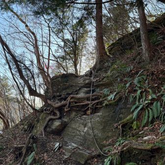 最初の急登はしんどいけど楽しい