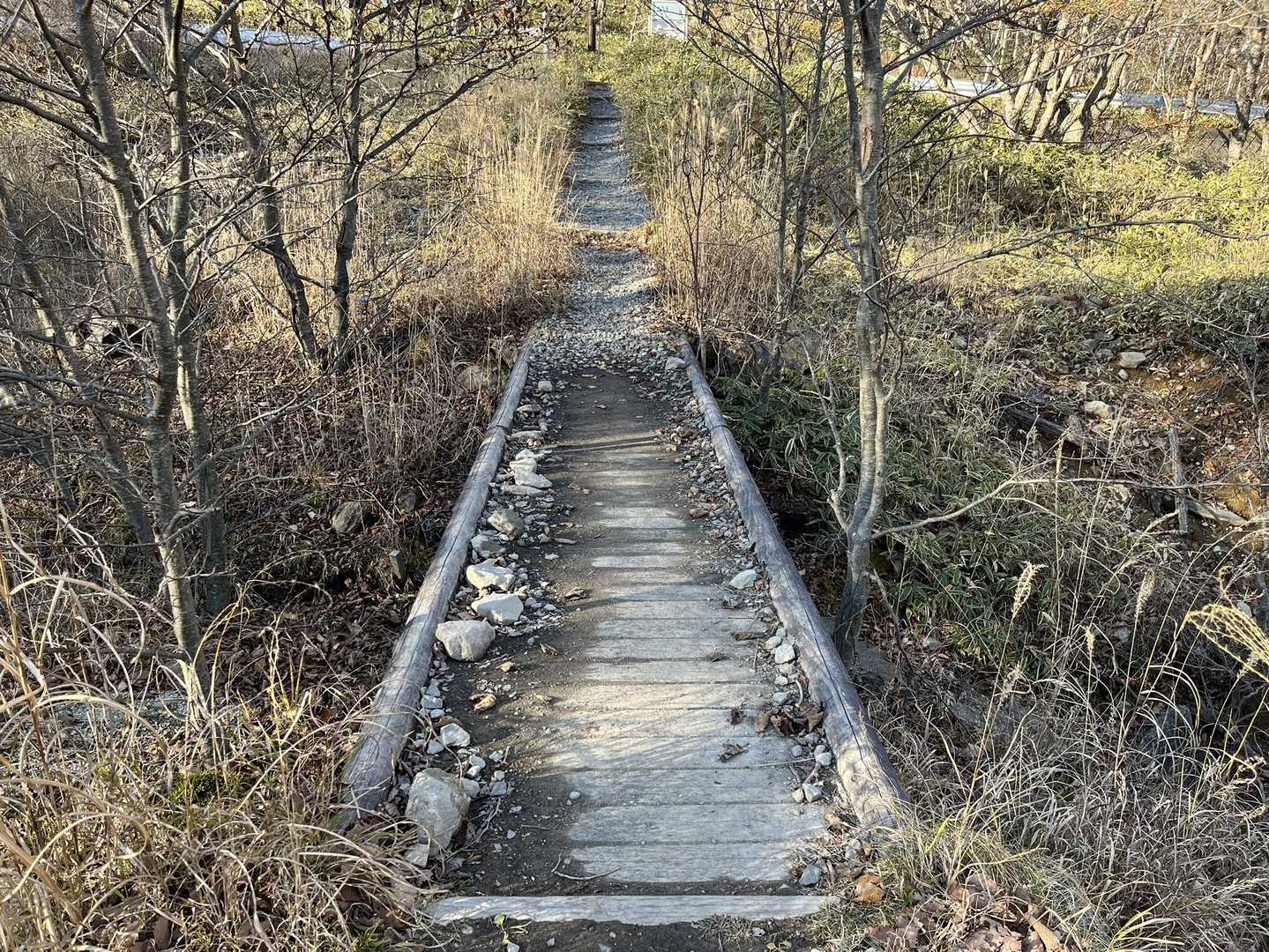 ずっと水が溜まってて渡るのが大変だった橋
秋になりようやく普通に渡れるようになってた✨