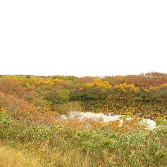 弥陀ヶ原最奥の池、周囲の紅葉が良い