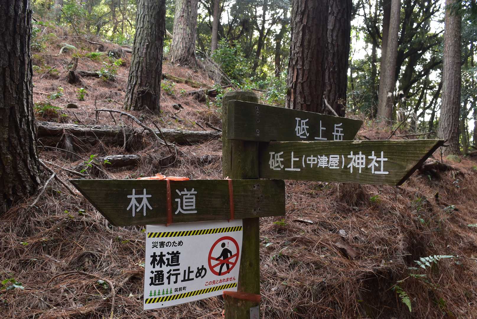 砥上岳 周回コースの写真