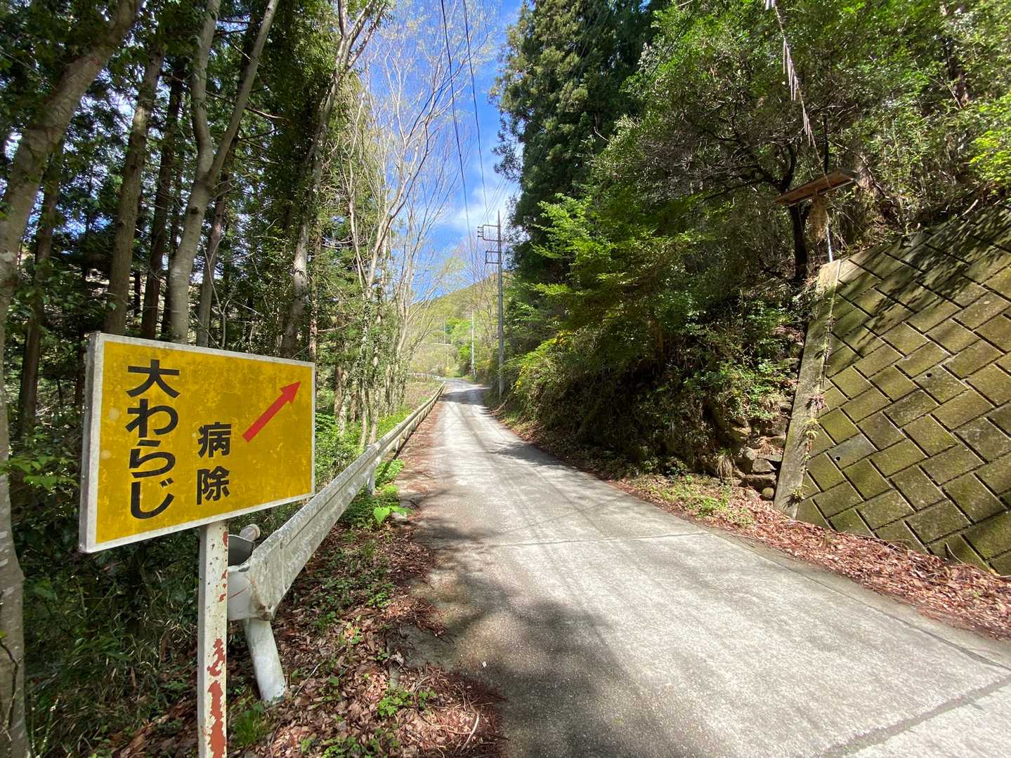 病除 大わらじ
ものすごく大きいのを想像したけれど…
道の反対側にぶら下がっているアレ↗︎のことだ😶
