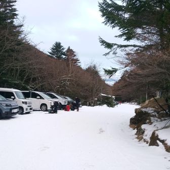 この土日は天気がイマイチなのは予報で分かっていましたが、人気の天狗岳登山口の唐沢鉱泉駐車場は駐車場争奪戦が激しいので、6時に到着して少し仮眠して明るくなった7時にスタートしました。先日来た火曜日と違って土曜日なので7時には下まで満車になっていました🈵