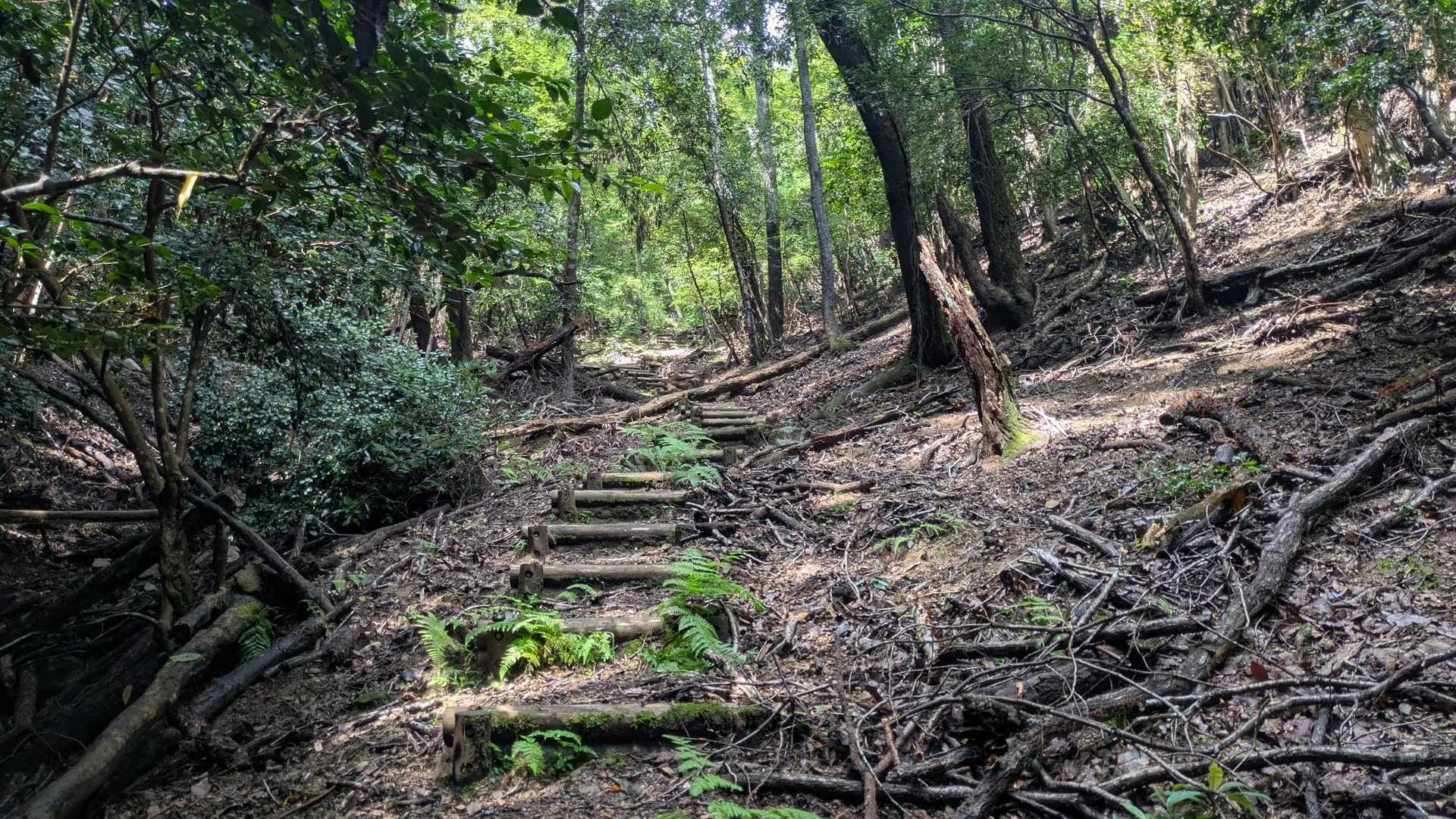沢を渡ると階段