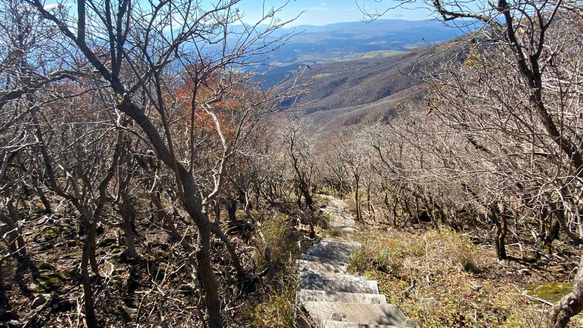 中腹は落葉が進み、遮る物少なし😄
木道階段をゆっくり下る