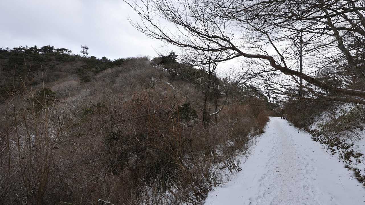 六甲ハイカー（六甲全山縦走路） の写真 27