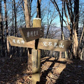 長久保の頭です。
ここからショートカット下山しまーす。