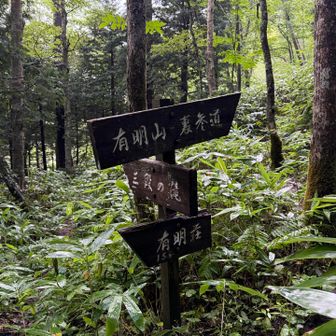 帰りは滝のほうから行ってみるか