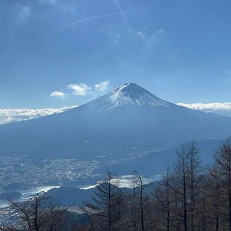 富士山が綺麗だからなんでも許せる