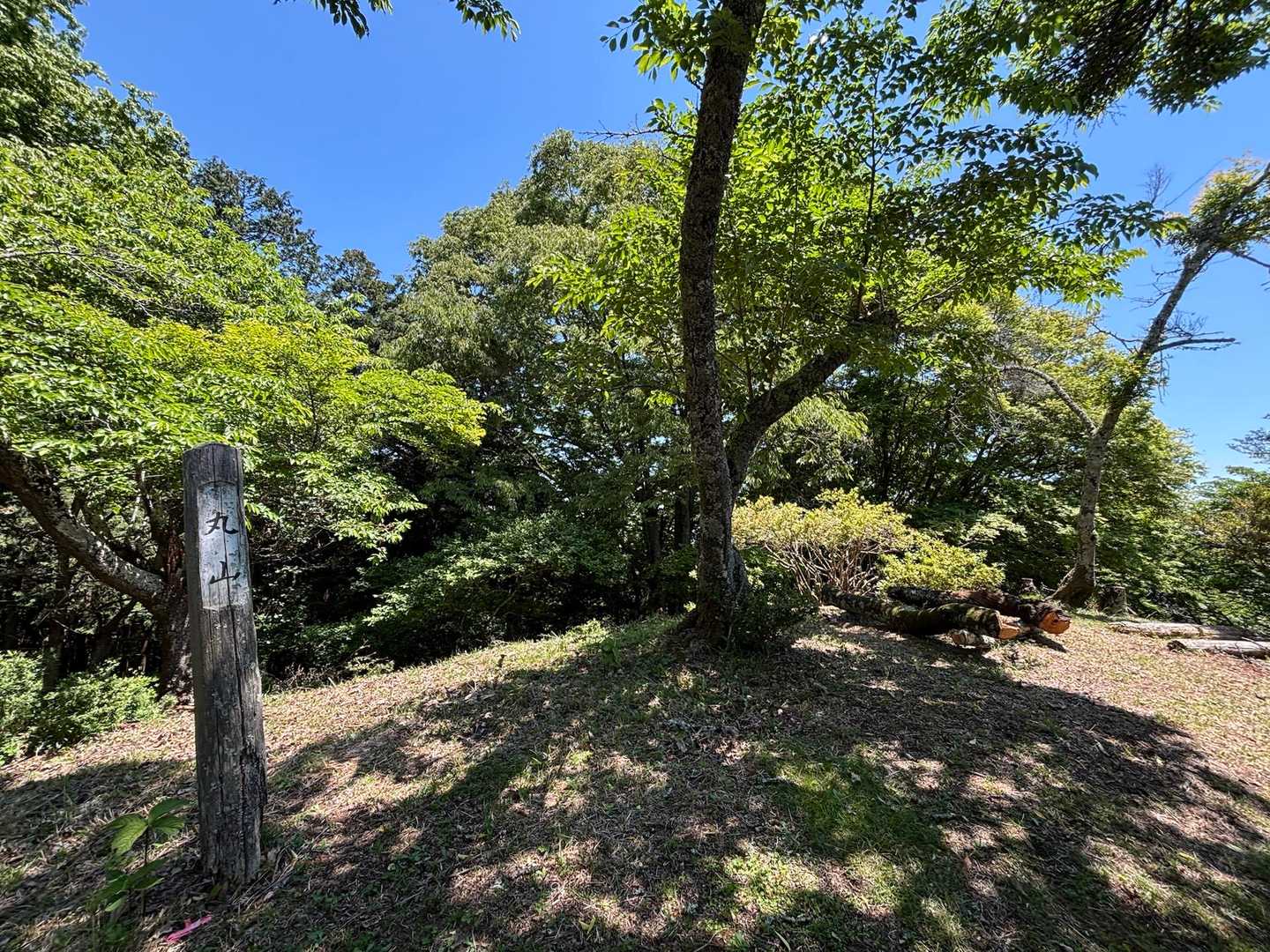 本日1座目
見晴台への途中の小ピーク、丸山