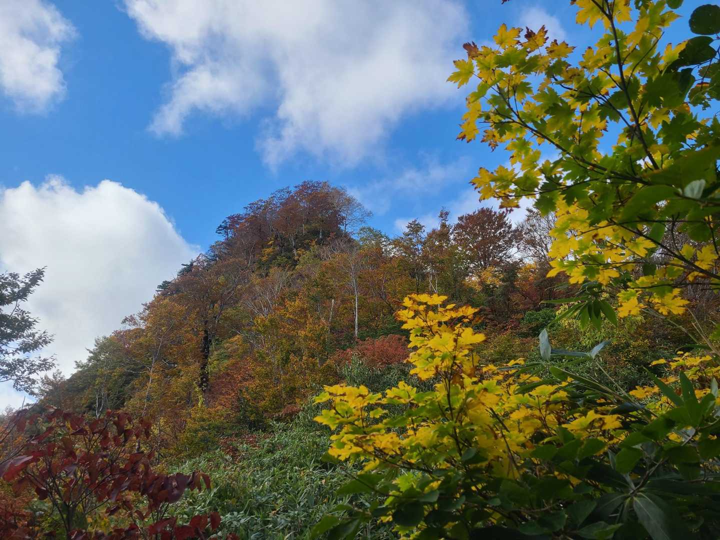 🍁前方にピークが見えて来たら、
