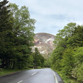 駐車場あたりからこの迫力！