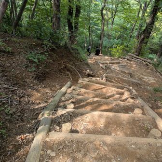 意外と上りも大変だった😅
下りもまた大変らしい😱
滝の平尾根コースで下ります💪