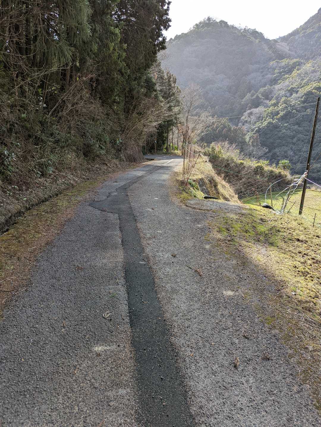 後は舗装路
走ります💨痒い💦おかわり無しだ😭