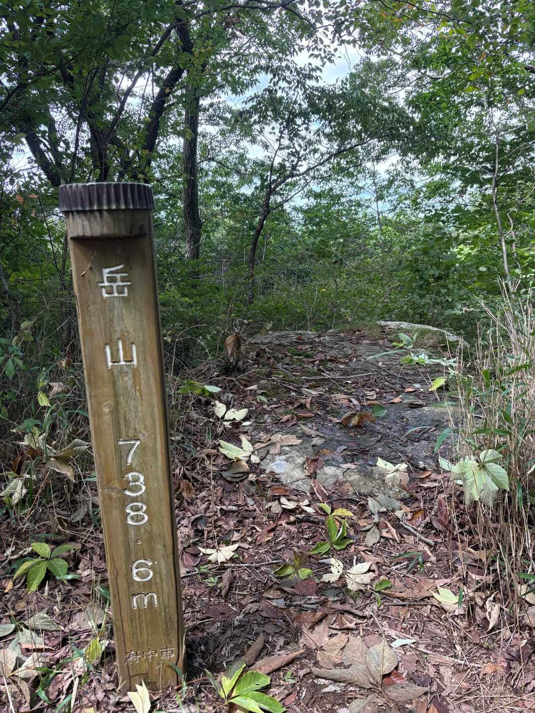 斗升登山口-岳山-前岳 周回コースの写真