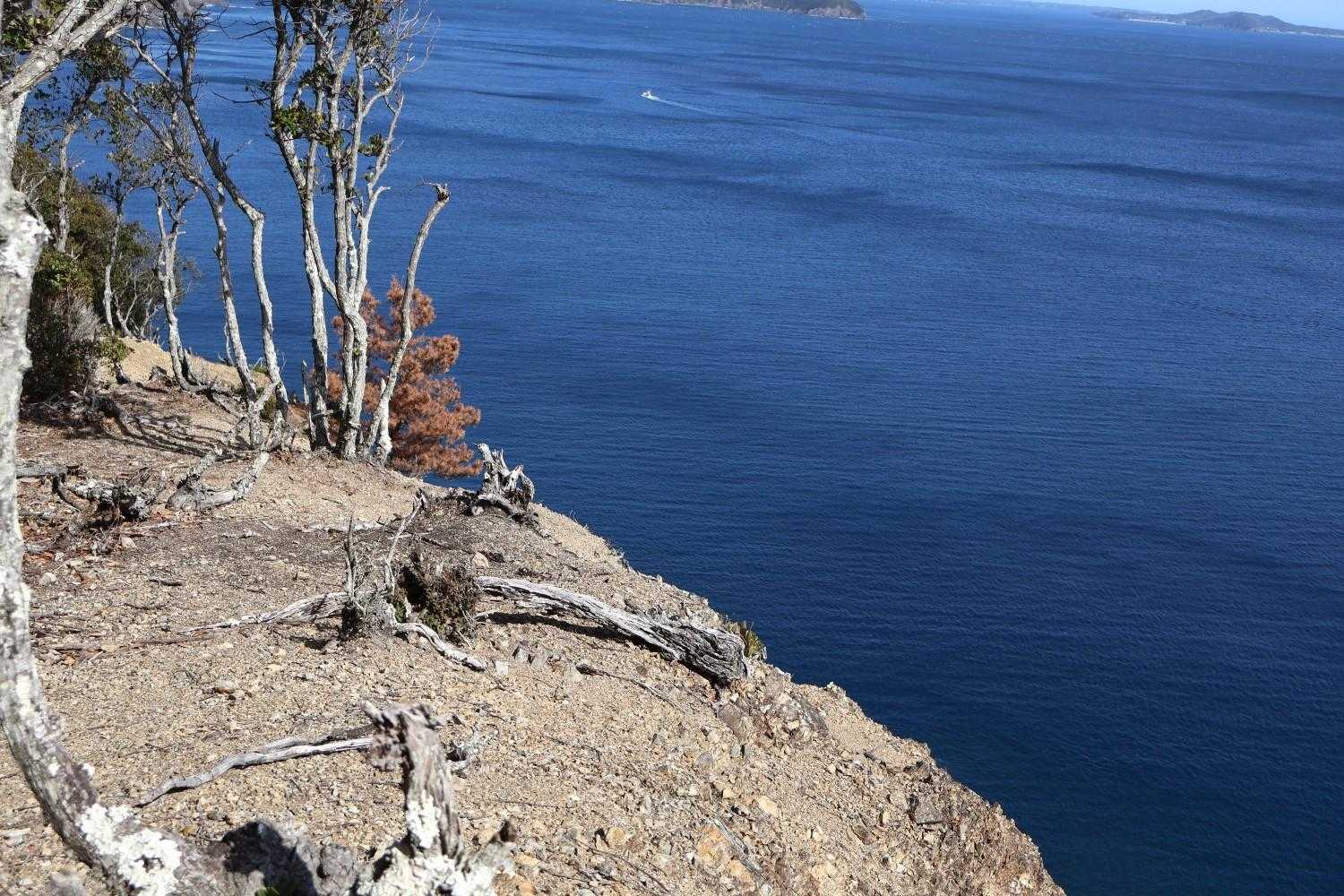 相賀浅間山-北峰-局ヶ頂-局ヶ頂西峰-塩竈浜-網代浜-米子 周回コースの写真